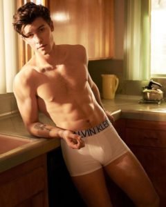 Shawn Mendes é o novo rosto e corpo da linha de cuecas da Calvin Klein O Cara Fashion